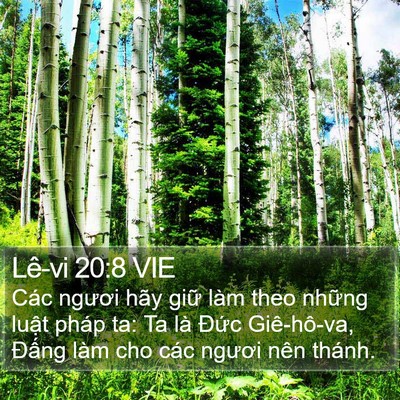 Lê-vi 20:8 VIE Bible Verse Image