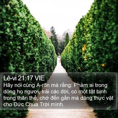 Lê-vi 21:17 VIE Bible Verse Image