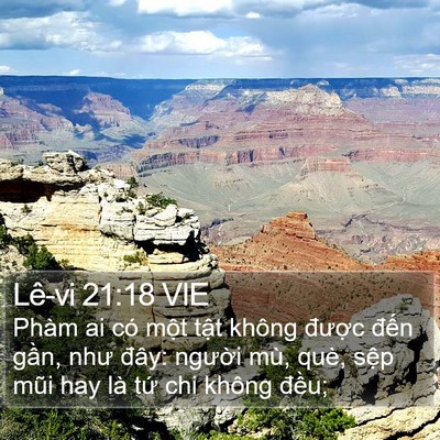 Lê-vi 21:18 VIE Bible Verse Image