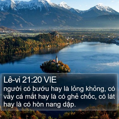 Lê-vi 21:20 VIE Bible Verse Image