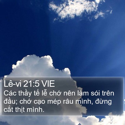 Lê-vi 21:5 VIE Bible Verse Image