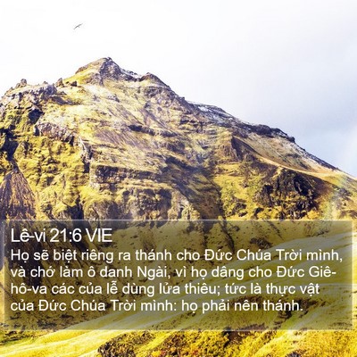 Lê-vi 21:6 VIE Bible Verse Image