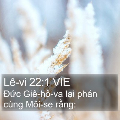 Lê-vi 22:1 VIE Bible Verse Image