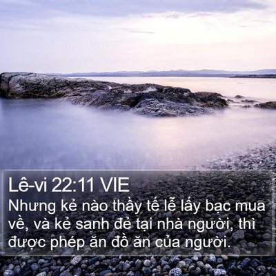 Lê-vi 22:11 VIE Bible Verse Image