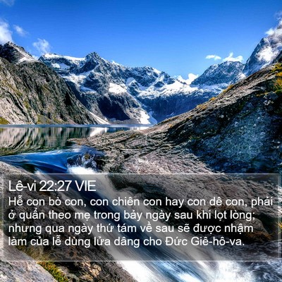 Lê-vi 22:27 VIE Bible Verse Image