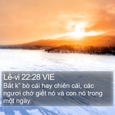 Lê-vi 22:28 VIE Bible Verse Image