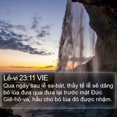 Lê-vi 23:11 VIE Bible Verse Image