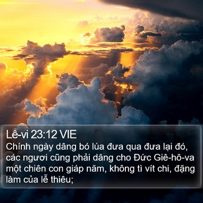 Lê-vi 23:12 VIE Bible Verse Image