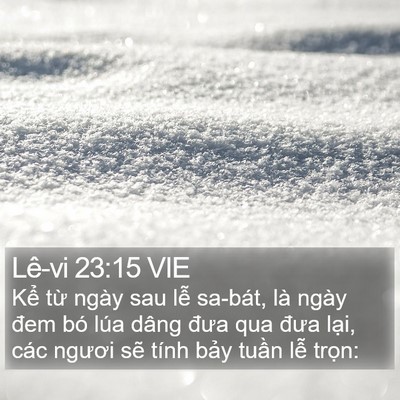 Lê-vi 23:15 VIE Bible Verse Image