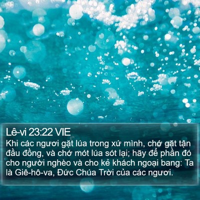 Lê-vi 23:22 VIE Bible Verse Image