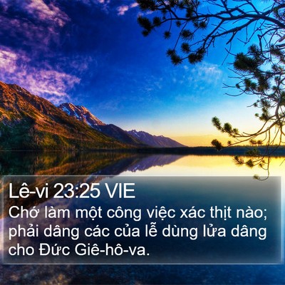 Lê-vi 23:25 VIE Bible Verse Image