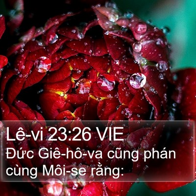 Lê-vi 23:26 VIE Bible Verse Image