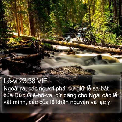 Lê-vi 23:38 VIE Bible Verse Image