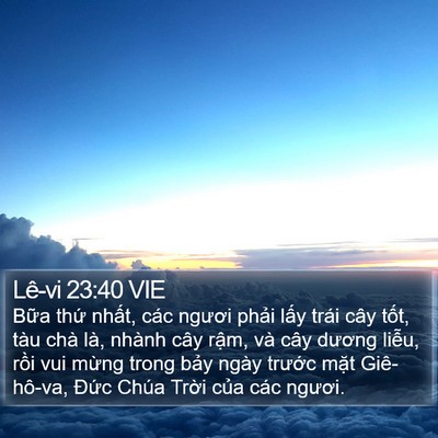 Lê-vi 23:40 VIE Bible Verse Image
