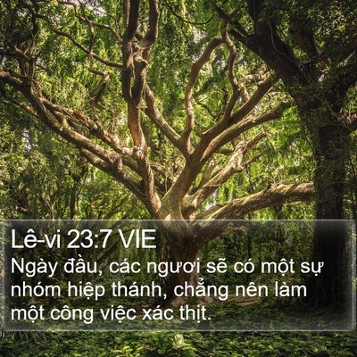 Lê-vi 23:7 VIE Bible Verse Image