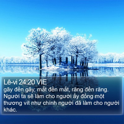 Lê-vi 24:20 VIE Bible Verse Image