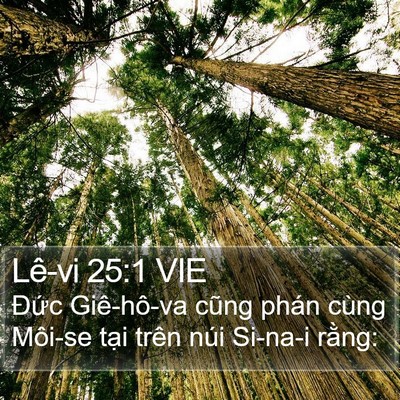 Lê-vi 25:1 VIE Bible Verse Image