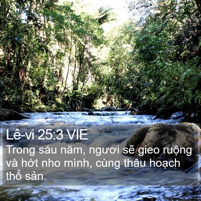 Lê-vi 25:3 VIE Bible Verse Image