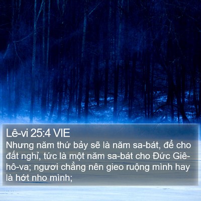 Lê-vi 25:4 VIE Bible Verse Image
