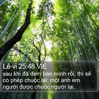 Lê-vi 25:48 VIE Bible Verse Image