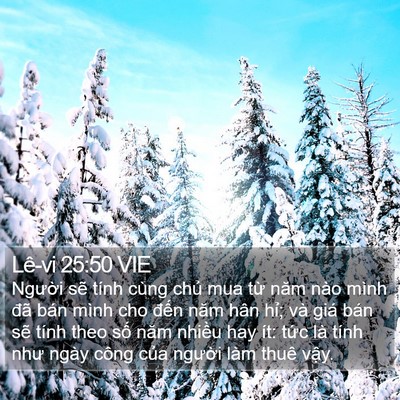 Lê-vi 25:50 VIE Bible Verse Image