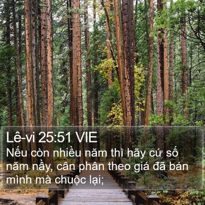 Lê-vi 25:51 VIE Bible Verse Image