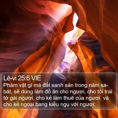 Lê-vi 25:6 VIE Bible Verse Image