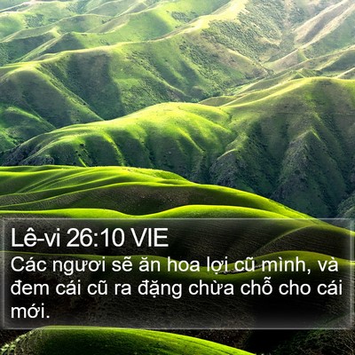 Lê-vi 26:10 VIE Bible Verse Image