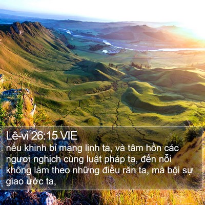 Lê-vi 26:15 VIE Bible Verse Image