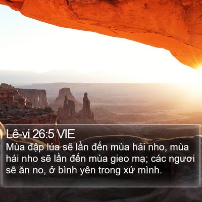 Lê-vi 26:5 VIE Bible Verse Image
