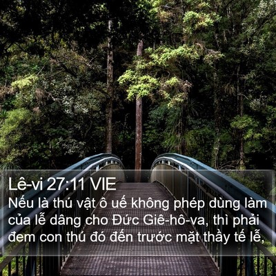 Lê-vi 27:11 VIE Bible Verse Image