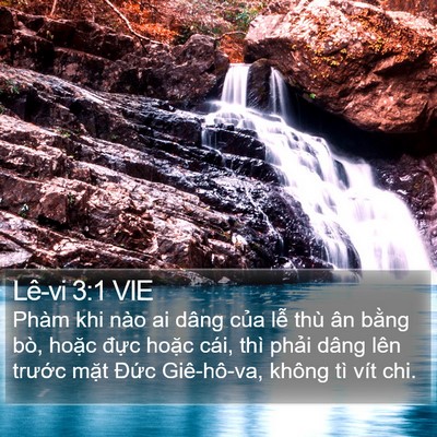 Lê-vi 3:1 VIE Bible Verse Image