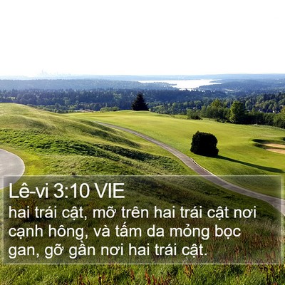Lê-vi 3:10 VIE Bible Verse Image