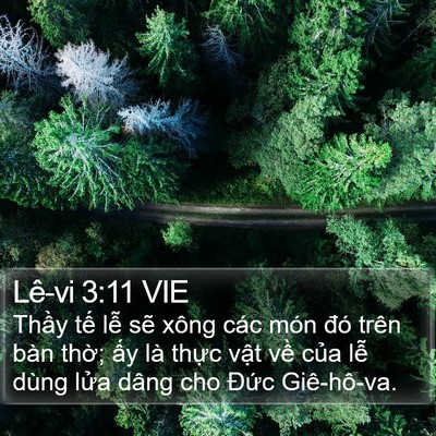 Lê-vi 3:11 VIE Bible Verse Image