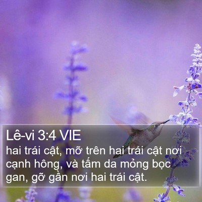 Lê-vi 3:4 VIE Bible Verse Image