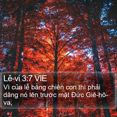 Lê-vi 3:7 VIE Bible Verse Image