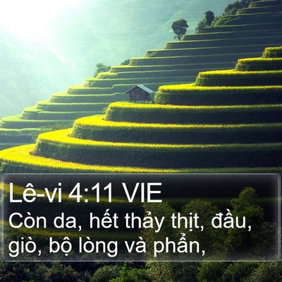 Lê-vi 4:11 VIE Bible Verse Image