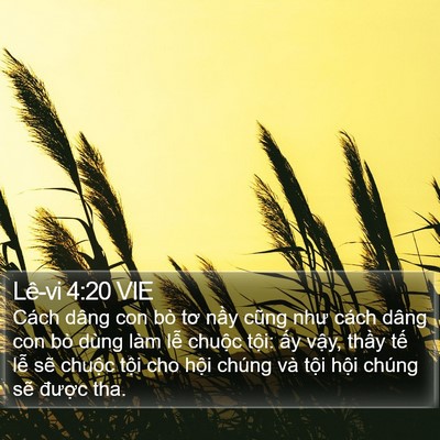 Lê-vi 4:20 VIE Bible Verse Image