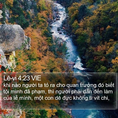 Lê-vi 4:23 VIE Bible Verse Image