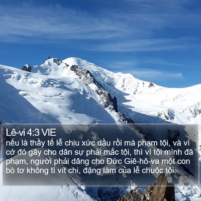 Lê-vi 4:3 VIE Bible Verse Image