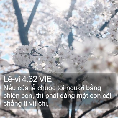 Lê-vi 4:32 VIE Bible Verse Image