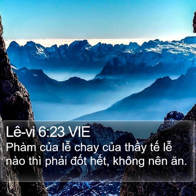 Lê-vi 6:23 VIE Bible Verse Image
