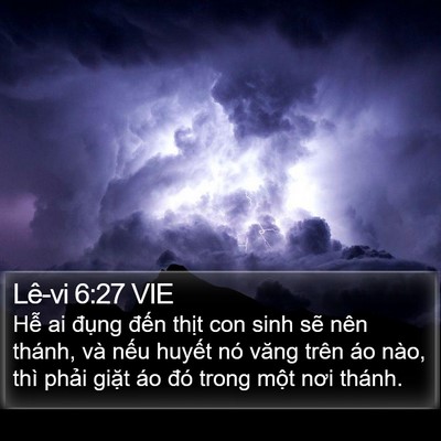 Lê-vi 6:27 VIE Bible Verse Image