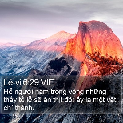 Lê-vi 6:29 VIE Bible Verse Image