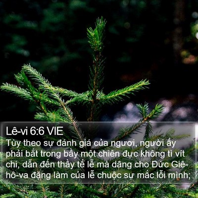 Lê-vi 6:6 VIE Bible Verse Image