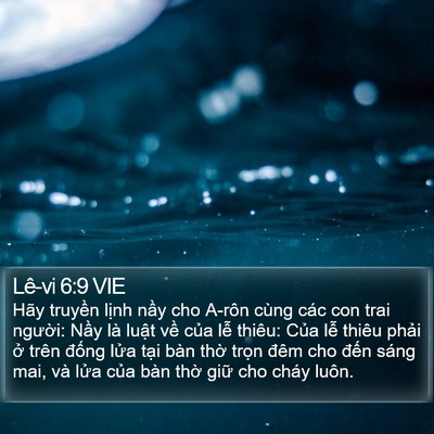 Lê-vi 6:9 VIE Bible Verse Image