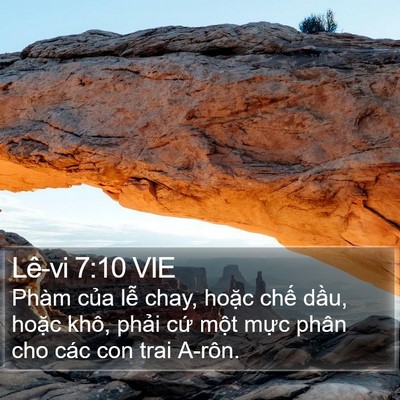 Lê-vi 7:10 VIE Bible Verse Image