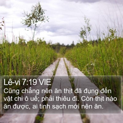 Lê-vi 7:19 VIE Bible Verse Image