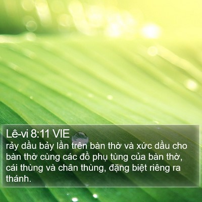 Lê-vi 8:11 VIE Bible Verse Image