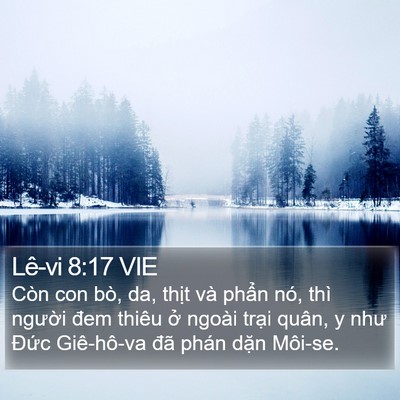 Lê-vi 8:17 VIE Bible Verse Image
